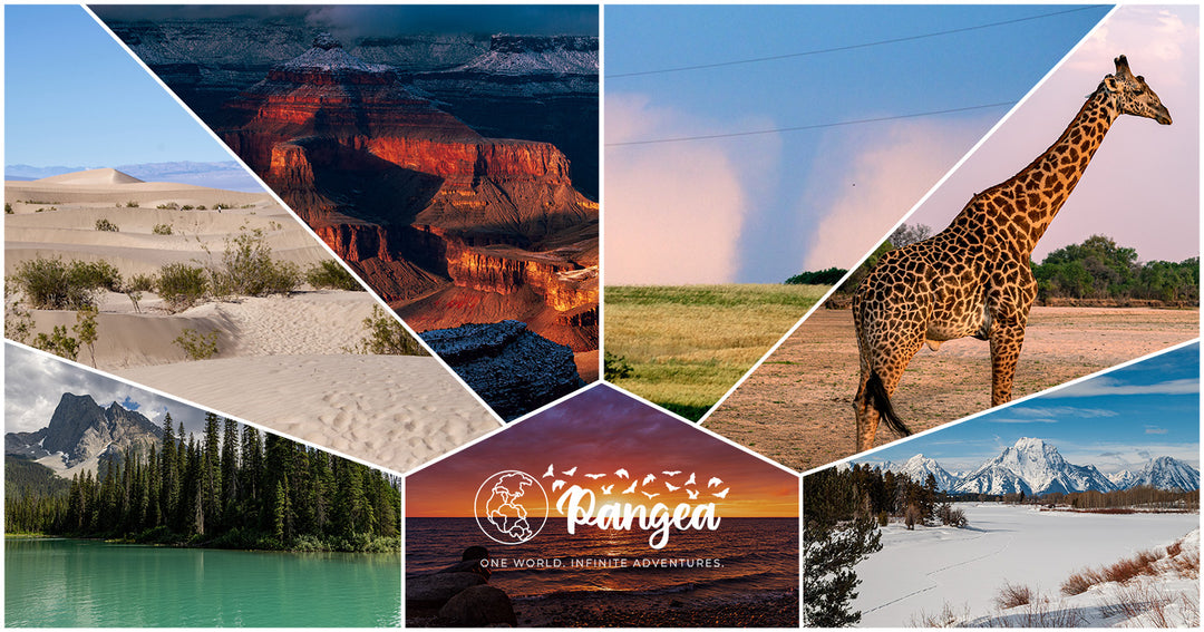 Pangea Gift Card