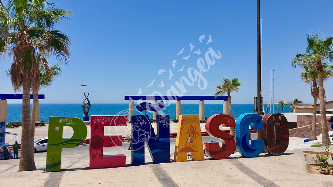 Stock Photo: The Peñasco Sign