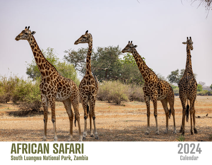 African Safari 2024 Calendar
