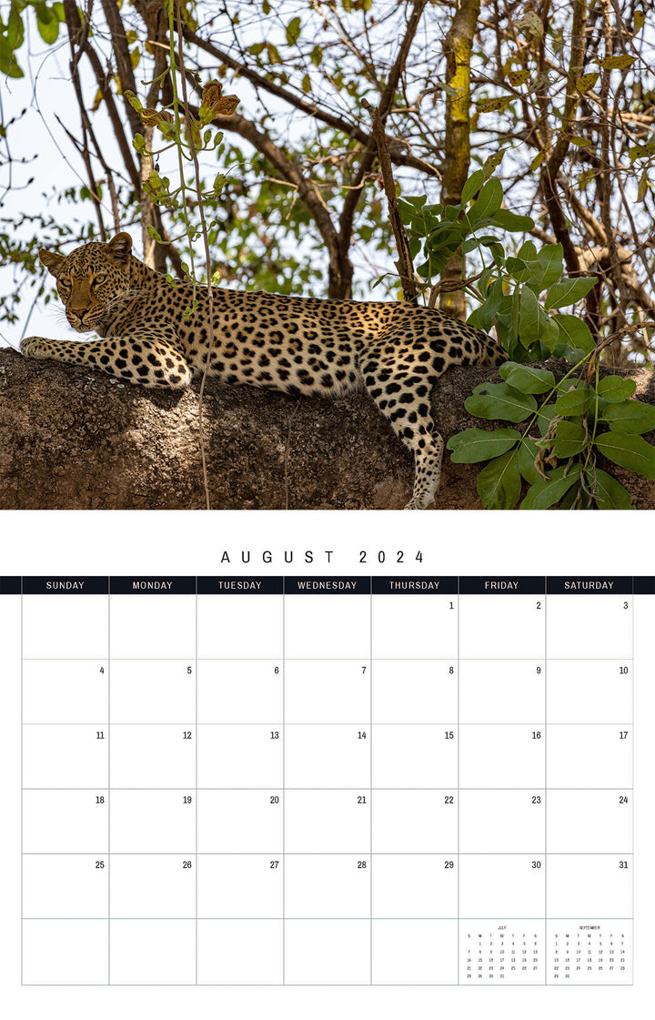 African Safari 2024 Calendar