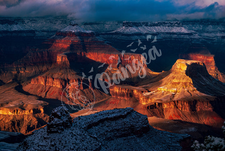 Grand Canyon Wall Art: The Grandest Snowfall II