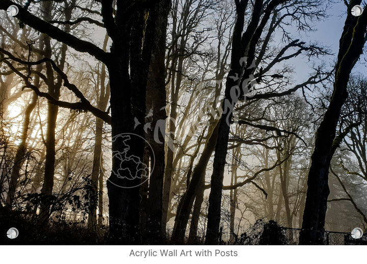 Wall Art: Winter Mist in the Forest