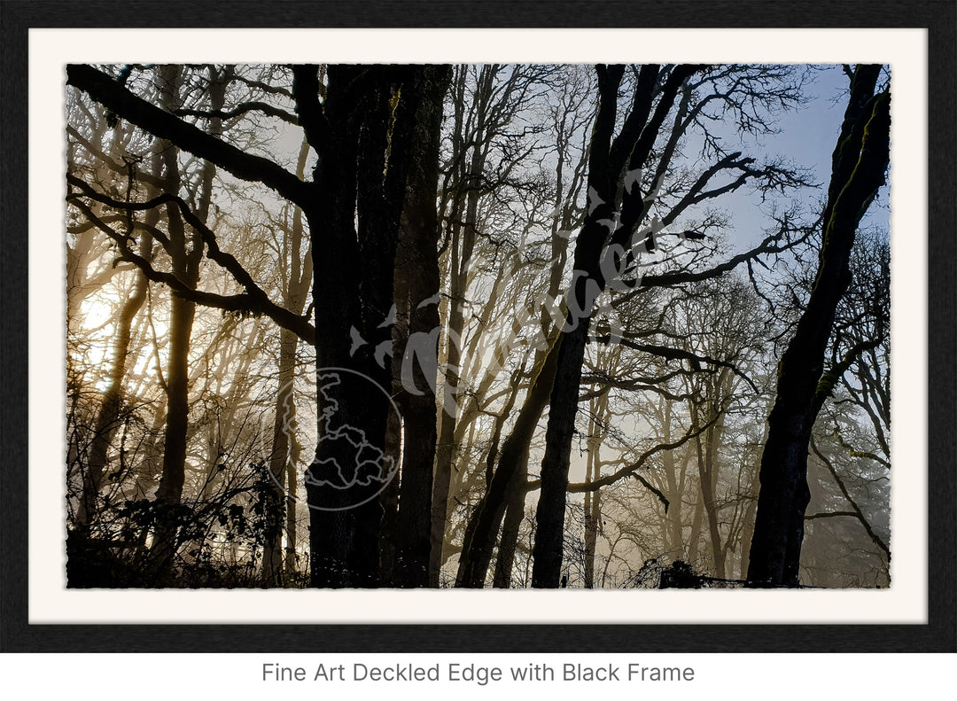 Wall Art: Winter Mist in the Forest