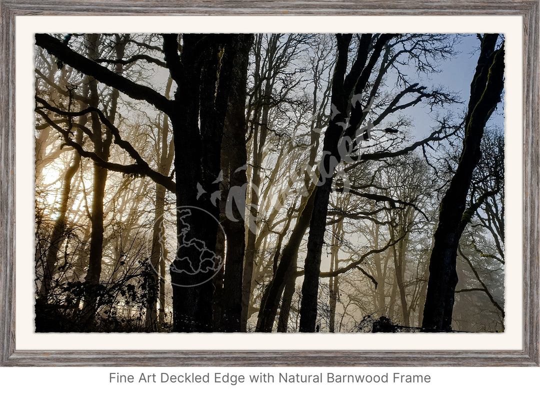 Wall Art: Winter Mist in the Forest