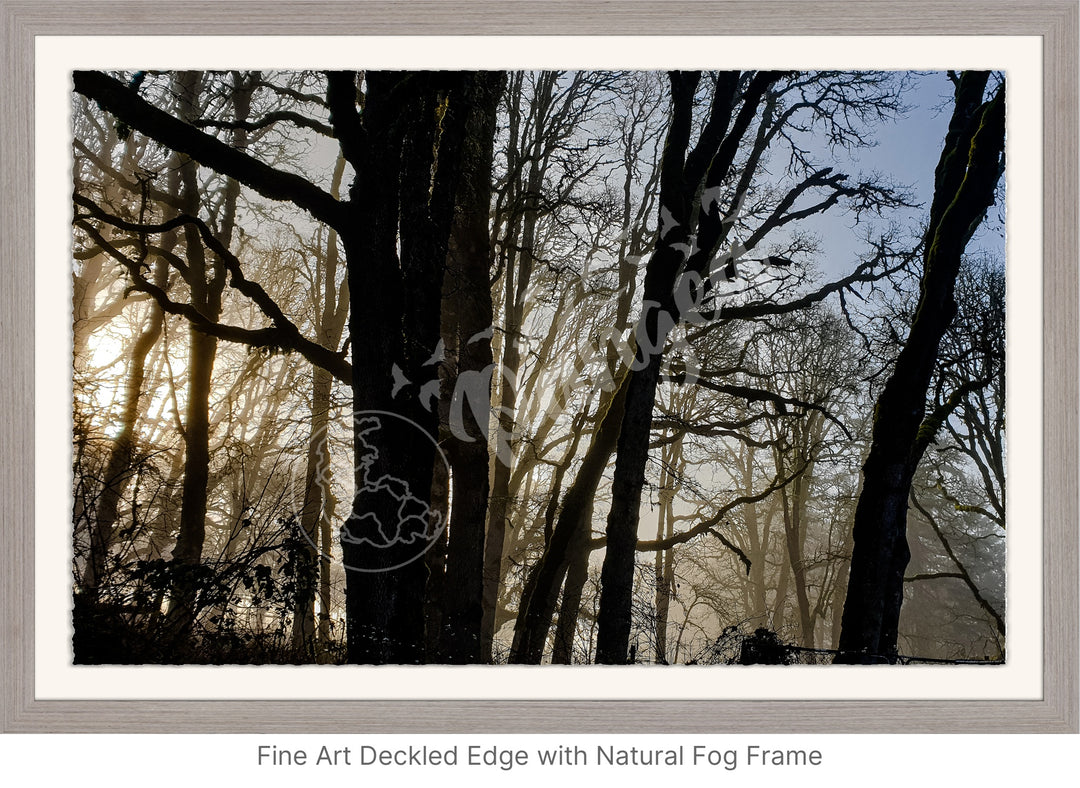 Wall Art: Winter Mist in the Forest