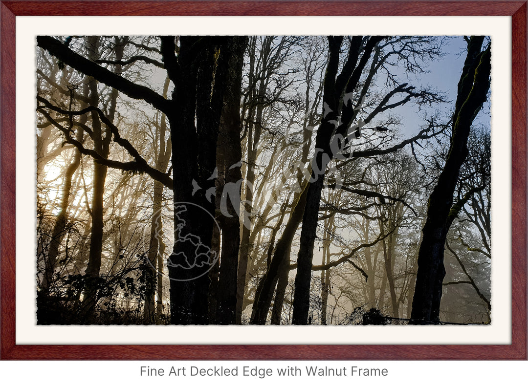 Wall Art: Winter Mist in the Forest