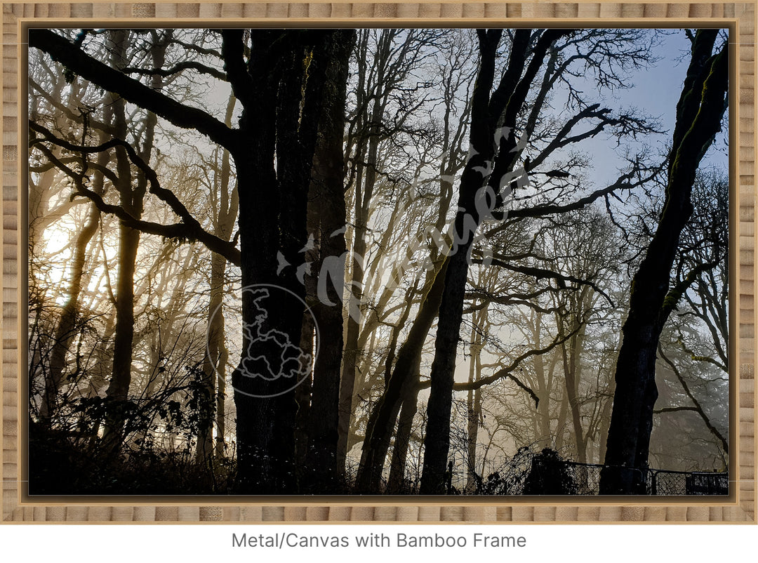 Wall Art: Winter Mist in the Forest