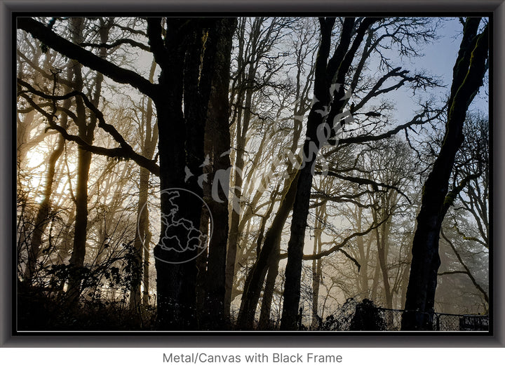 Wall Art: Winter Mist in the Forest