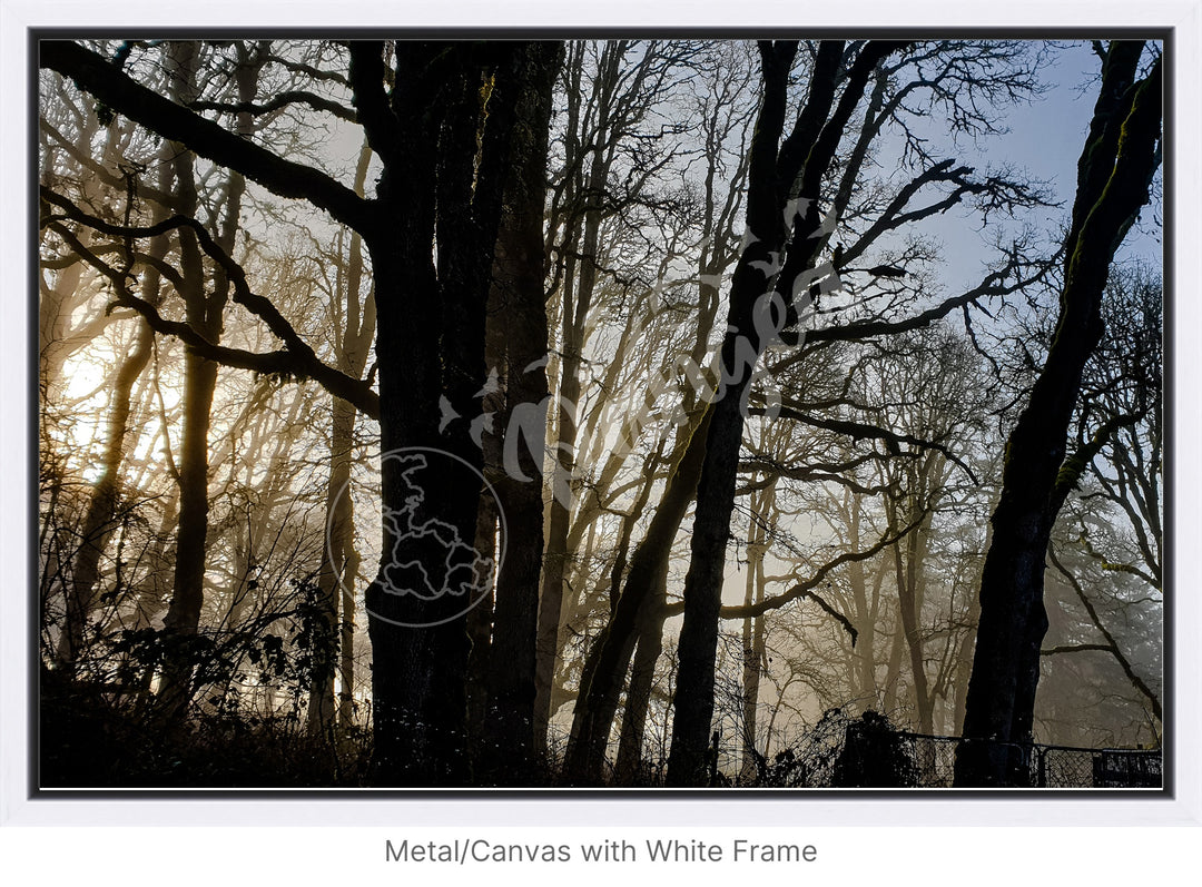 Wall Art: Winter Mist in the Forest