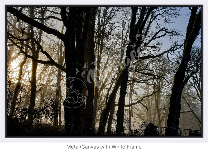 Wall Art: Winter Mist in the Forest