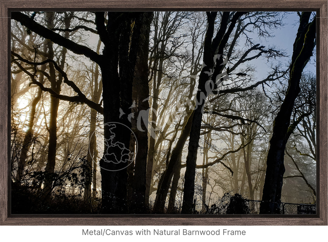 Wall Art: Winter Mist in the Forest