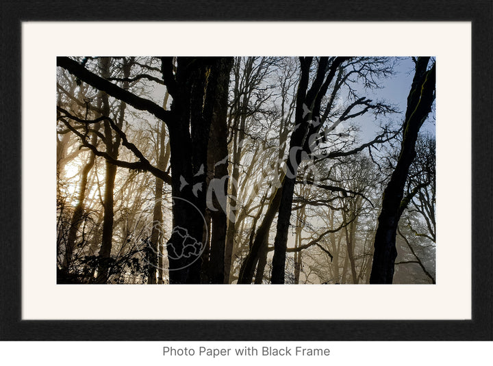 Wall Art: Winter Mist in the Forest