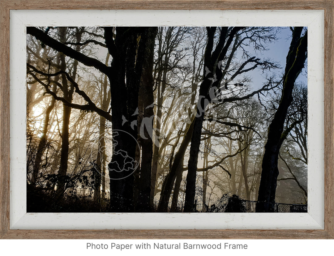 Wall Art: Winter Mist in the Forest