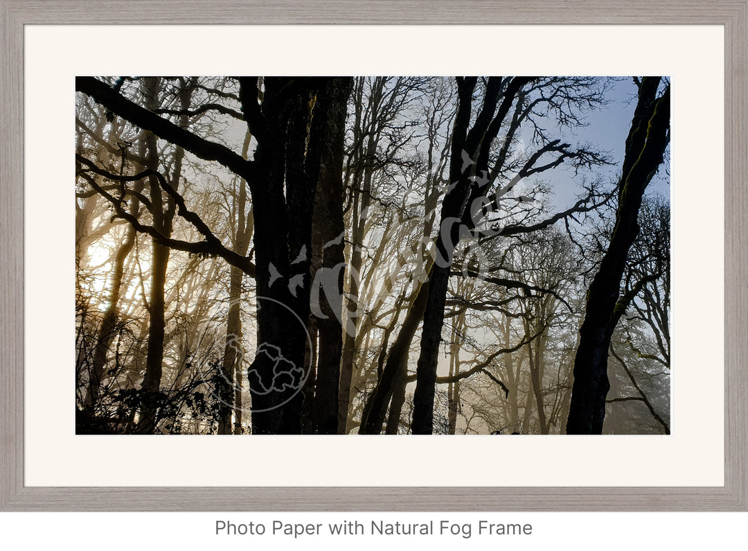 Wall Art: Winter Mist in the Forest