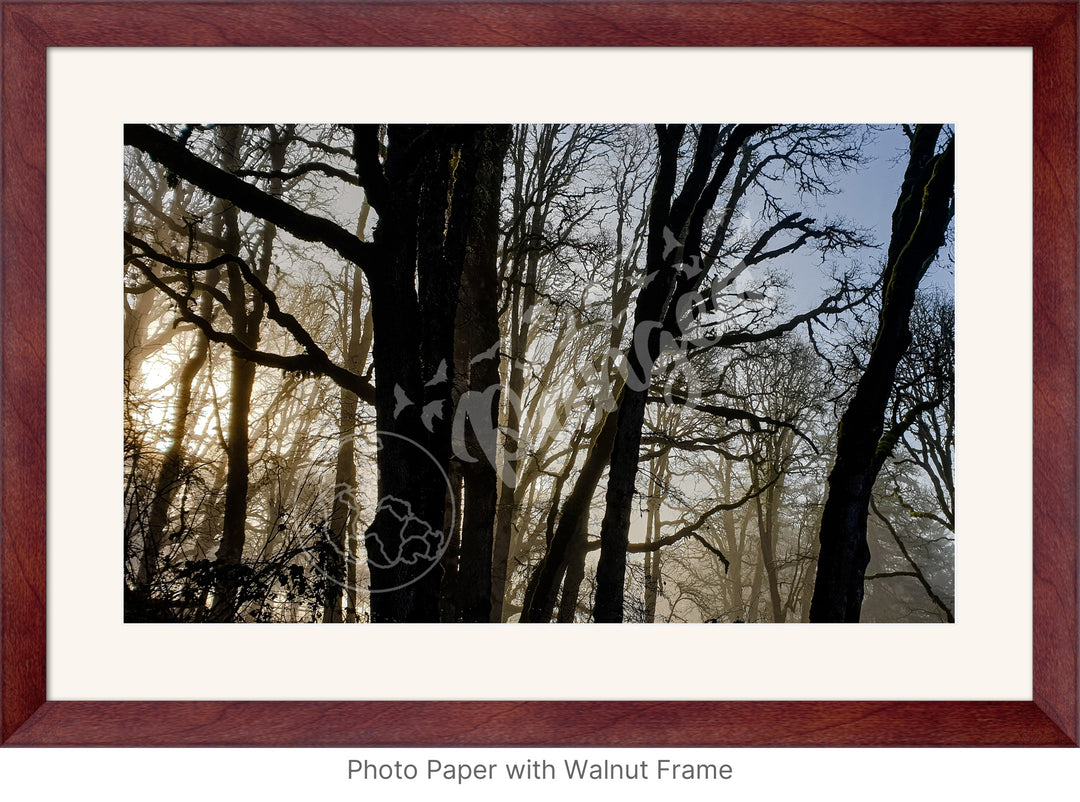 Wall Art: Winter Mist in the Forest