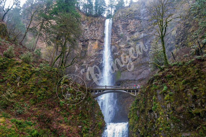 Wall Art: Multnomah Falls