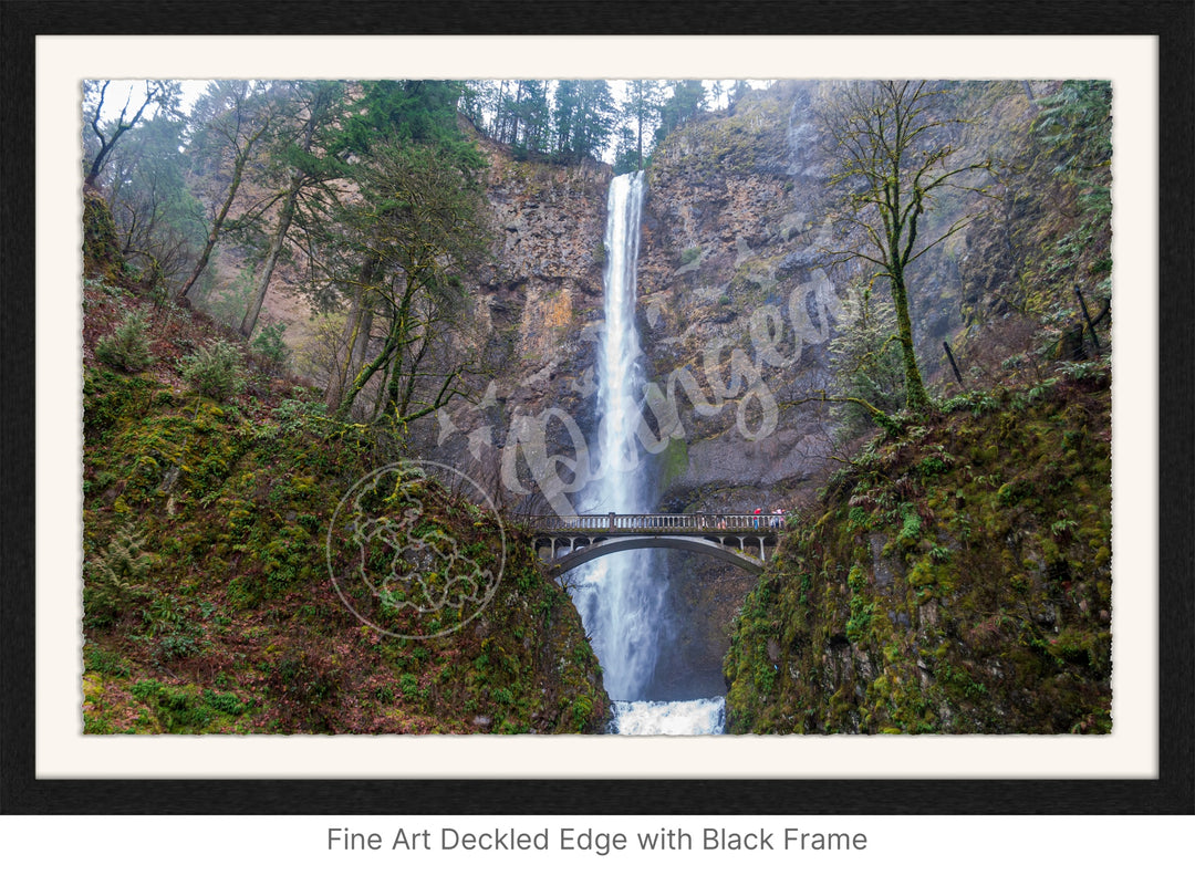 Wall Art: Multnomah Falls