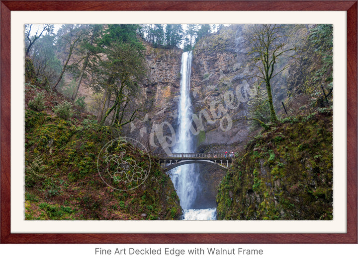 Wall Art: Multnomah Falls