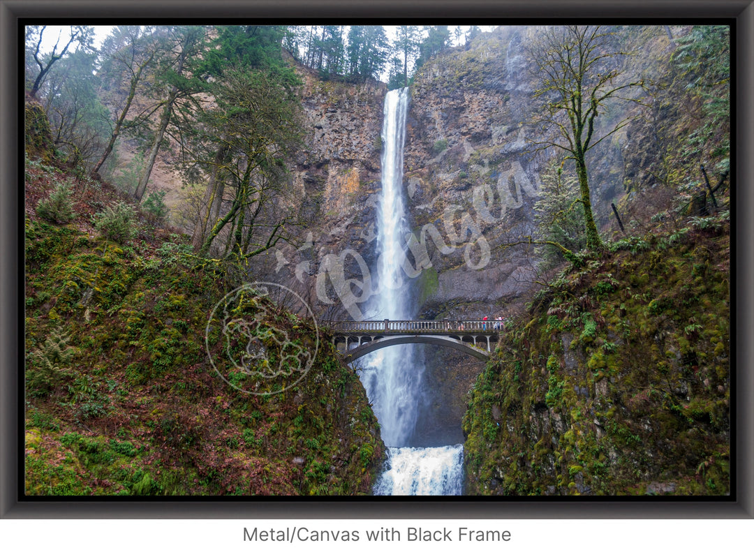 Wall Art: Multnomah Falls