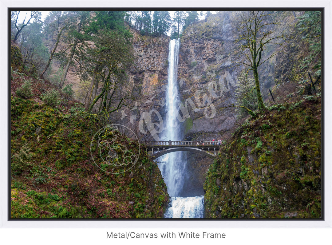 Wall Art: Multnomah Falls