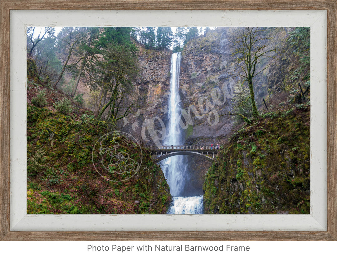 Wall Art: Multnomah Falls