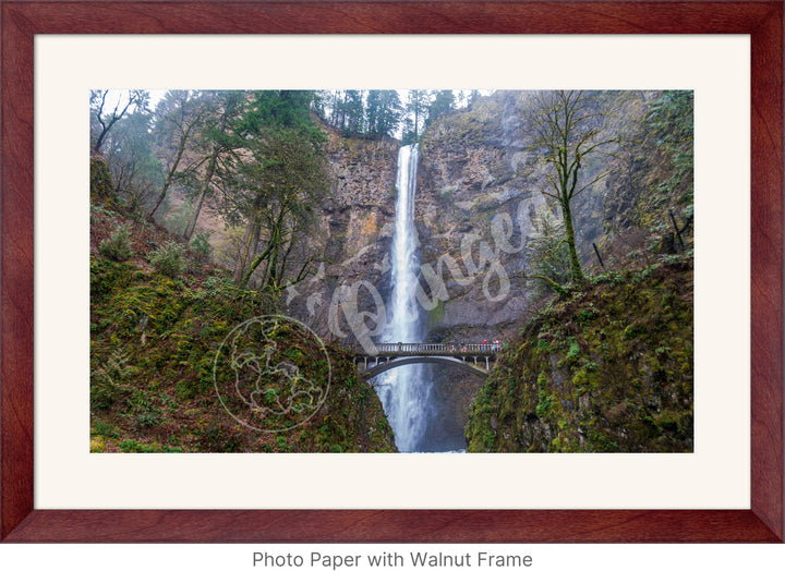 Wall Art: Multnomah Falls