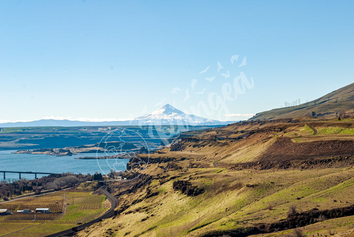 Wall Art: Mt. Hood