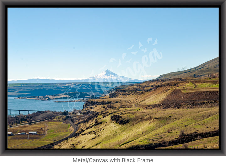 Wall Art: Mt. Hood