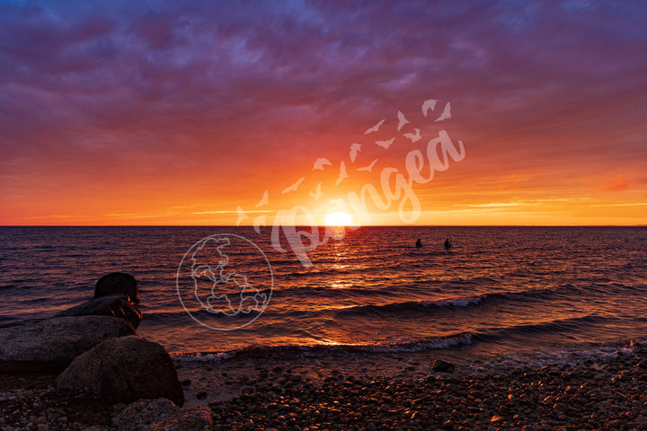 Wall Art: Paddleboarders at Sunset