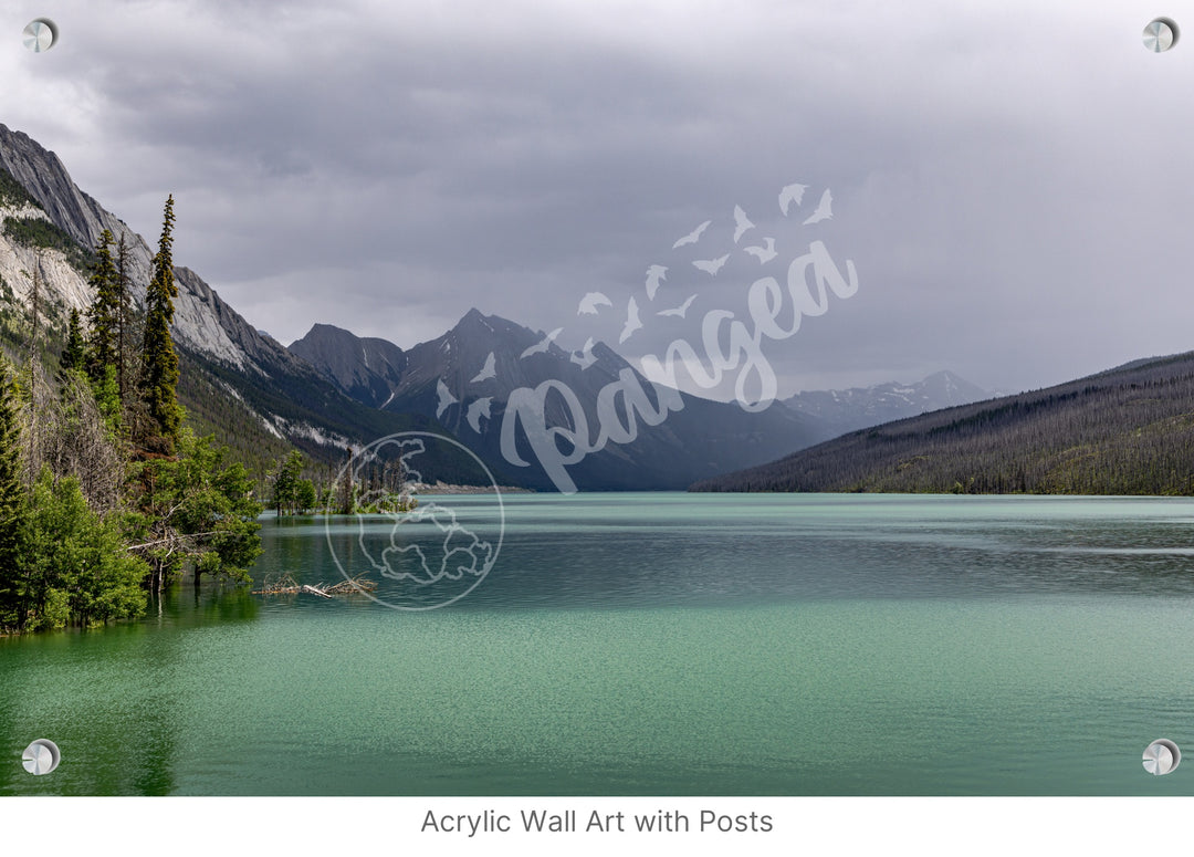 Wall Art: Jasper Summer Rain