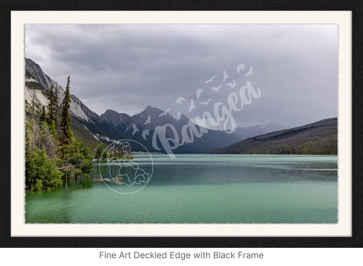 Wall Art: Jasper Summer Rain