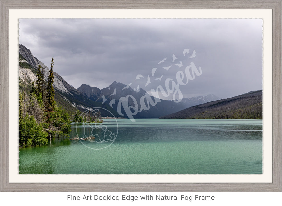 Wall Art: Jasper Summer Rain