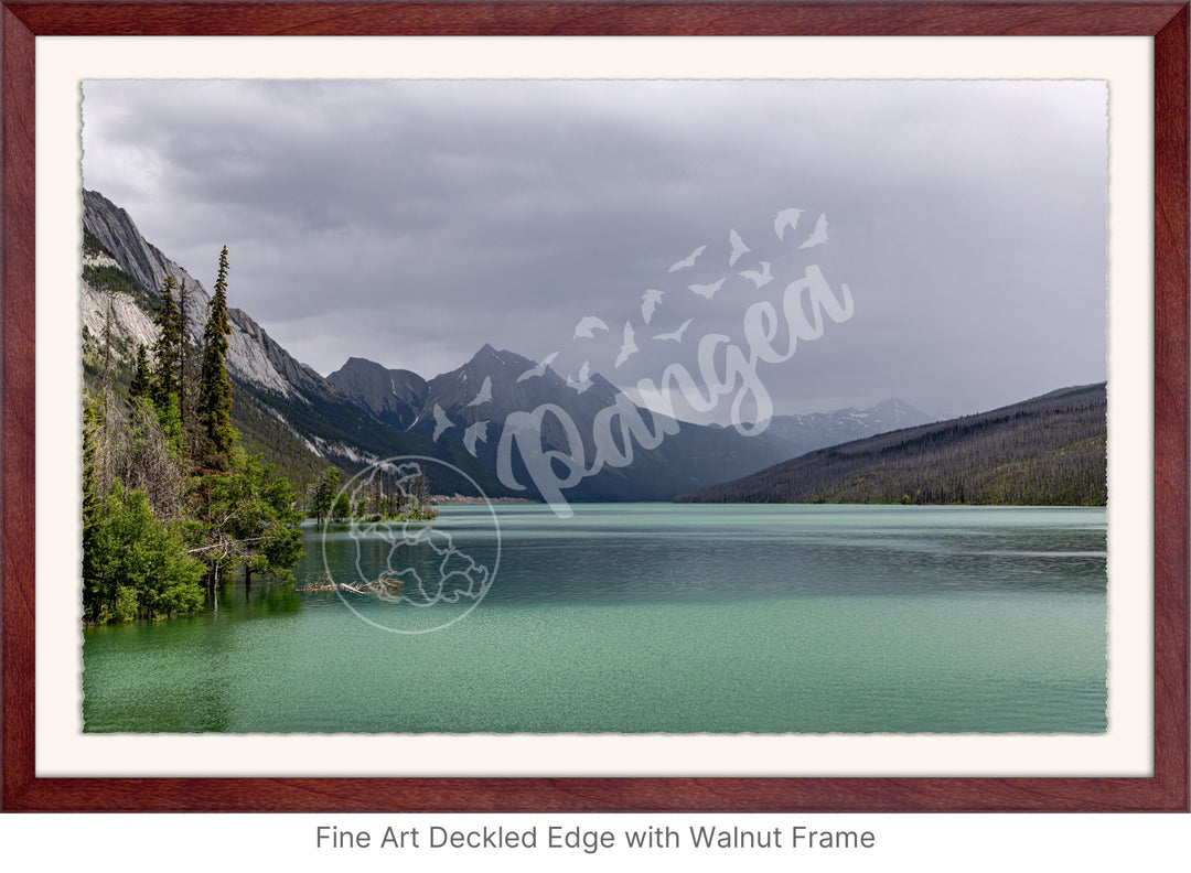 Wall Art: Jasper Summer Rain