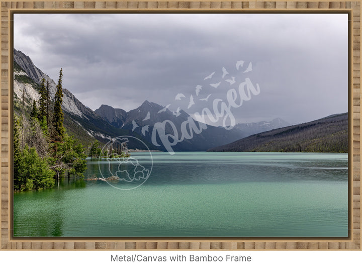 Wall Art: Jasper Summer Rain