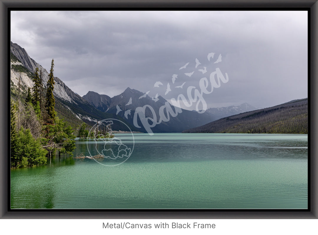 Wall Art: Jasper Summer Rain