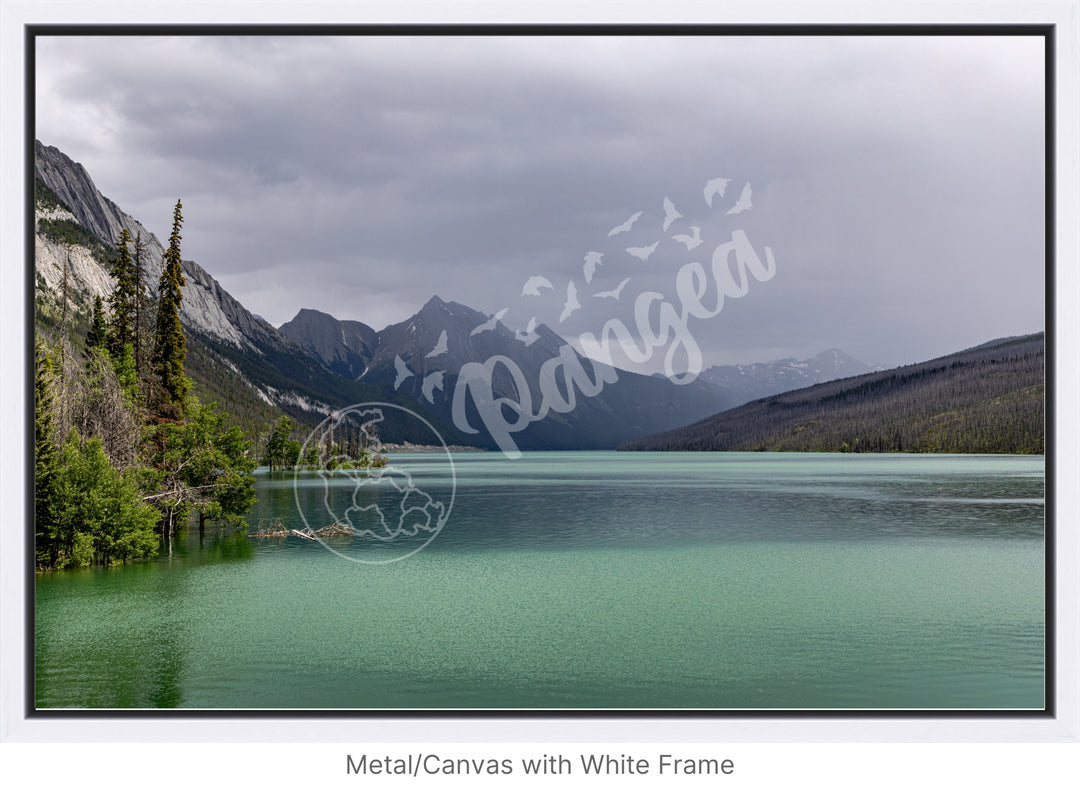 Wall Art: Jasper Summer Rain