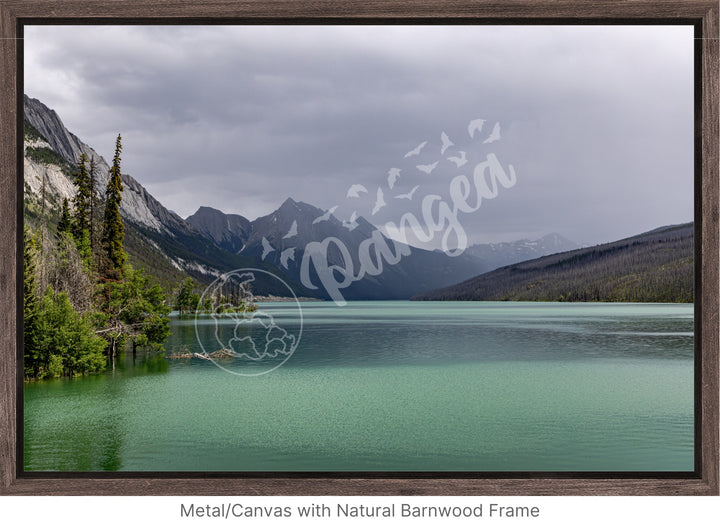 Wall Art: Jasper Summer Rain