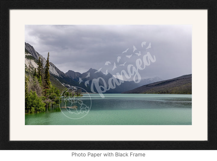 Wall Art: Jasper Summer Rain