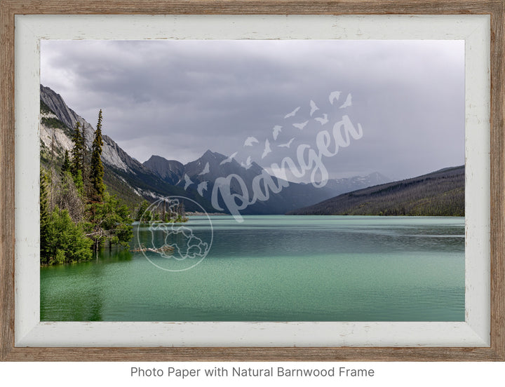 Wall Art: Jasper Summer Rain