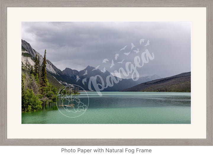 Wall Art: Jasper Summer Rain