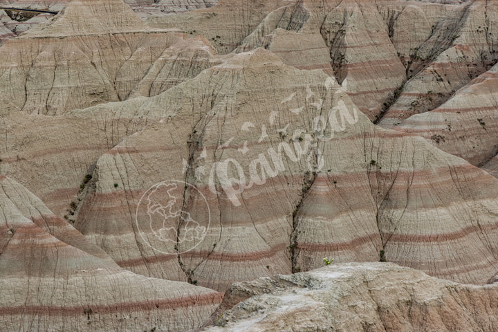 Wall Art: Badlands Journey Through Time