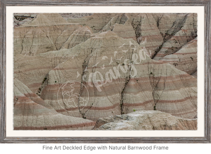 Wall Art: Badlands Journey Through Time