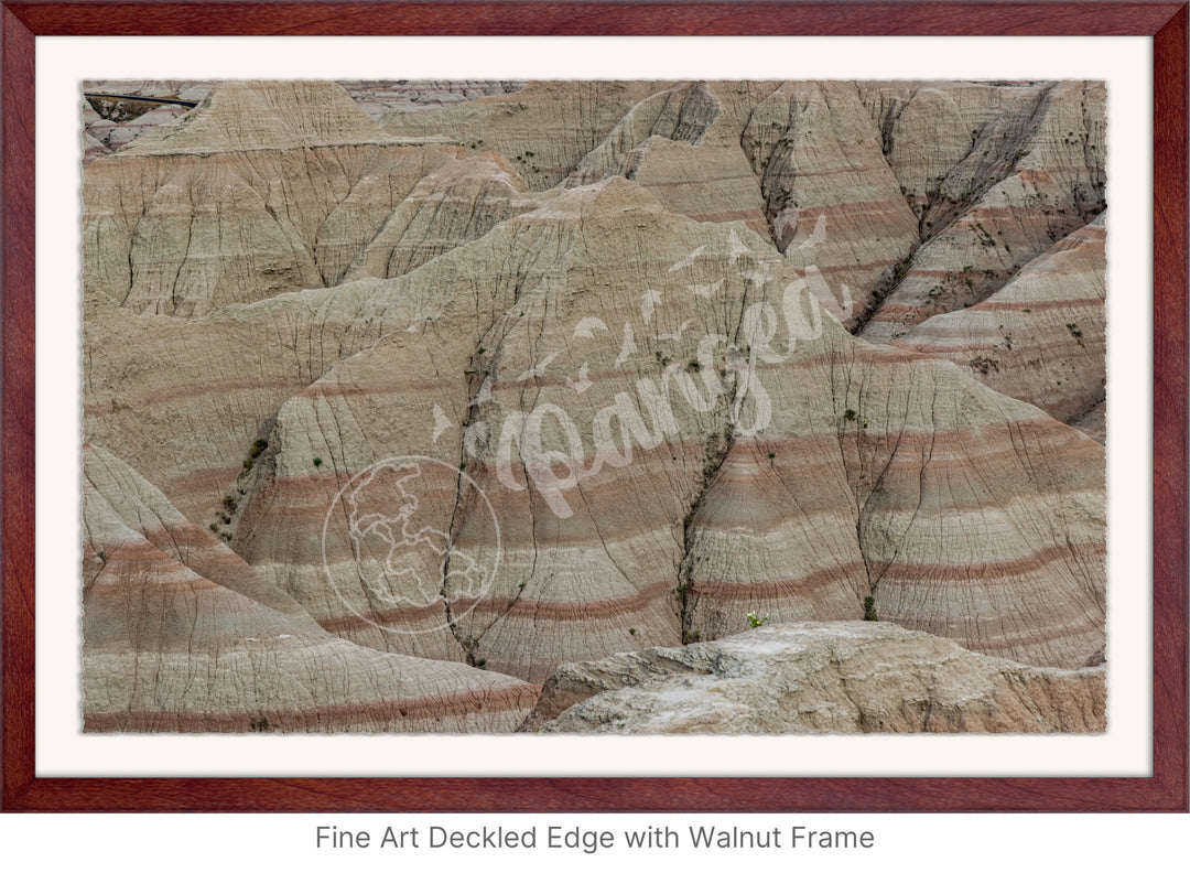 Wall Art: Badlands Journey Through Time