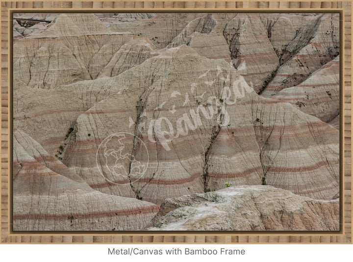 Wall Art: Badlands Journey Through Time