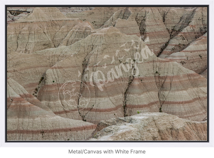 Wall Art: Badlands Journey Through Time