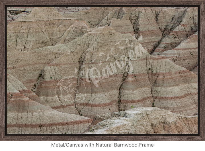 Wall Art: Badlands Journey Through Time