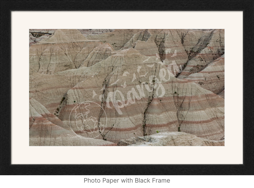 Wall Art: Badlands Journey Through Time