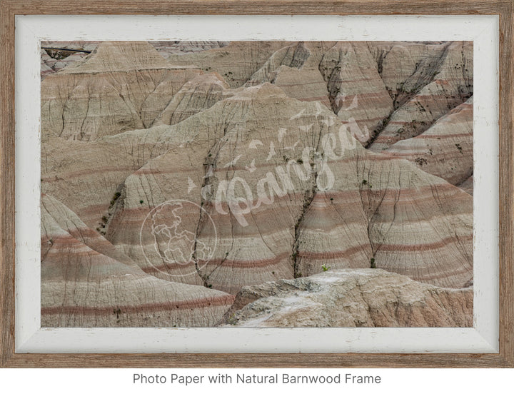 Wall Art: Badlands Journey Through Time