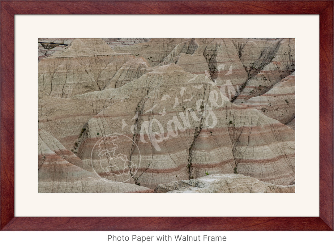 Wall Art: Badlands Journey Through Time