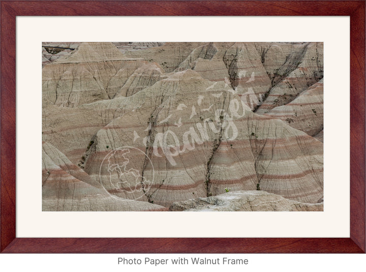 Wall Art: Badlands Journey Through Time